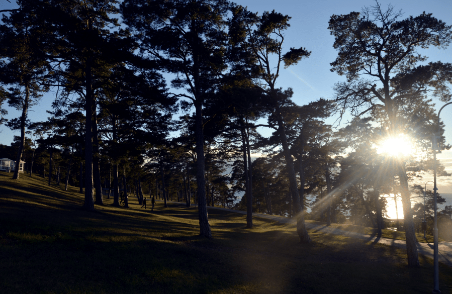 Gotland, croque bulle