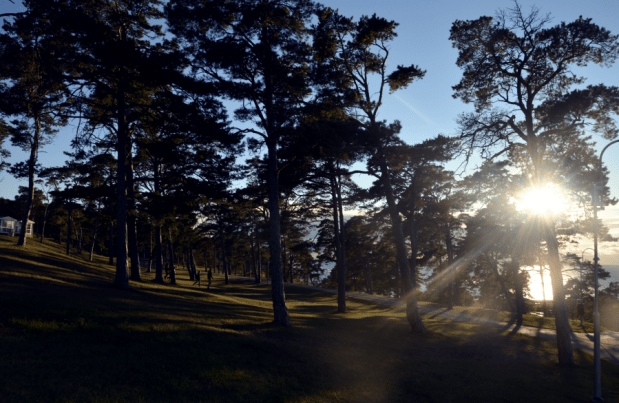 Gotland, croque bulle